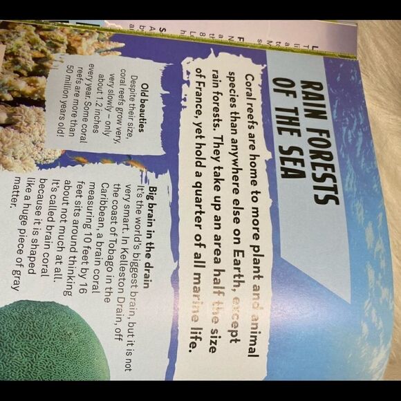 Bear Grylls Extreme Planet book - Picture 12 of 15